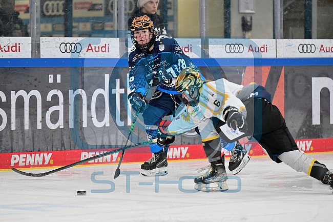Eishockey, Frauen, DFEL, Saison 2024-2025, ERC Ingolstadt - Mad Dogs Mannheim, 23.11.2024
