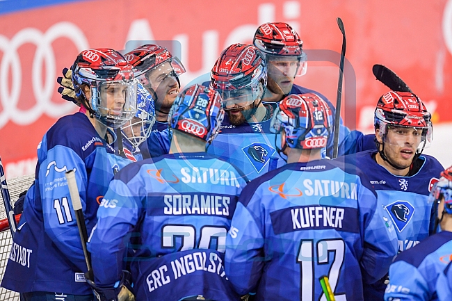 Eishockey, Herren, DEL, Saison 2020-2021, ERC Ingolstadt - Schwenninger Wild Wings, 19.01.2021