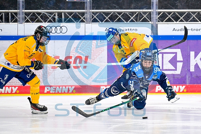 Eishockey, Frauen, DFEL, Saison 2025-2026, Testspiel, ERC Ingolstadt - HC Davos, 14.02.2026