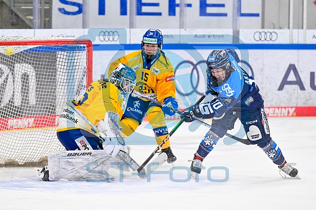 Eishockey, Frauen, DFEL, Saison 2025-2026, Testspiel, ERC Ingolstadt - HC Davos, 14.02.2026