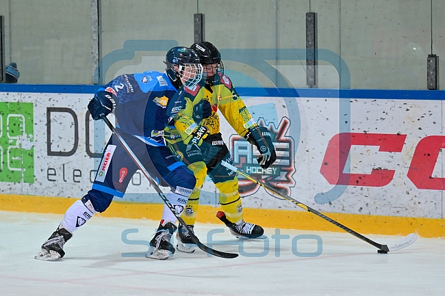 Eishockey, Herren, U20 DNL, Saison 2025-2026, Halbfinale - Spiel 2, ERC Ingolstadt - Krefelder EV 81, 15.03.2026