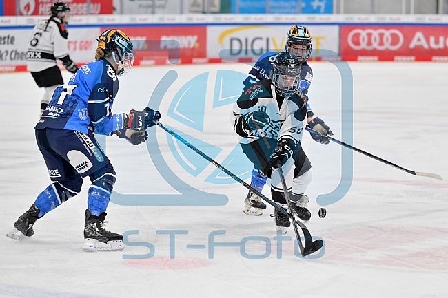 Eishockey, Frauen, DFEL, Saison 2023-2024, ERC Ingolstadt - Amsterdam Tigers, 06.01.2024