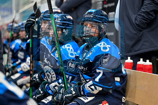 Eishockey, Frauen, DFEL, Saison 2025-2026, ERC Ingolstadt - Eisbären Berlin, 18.01.2026