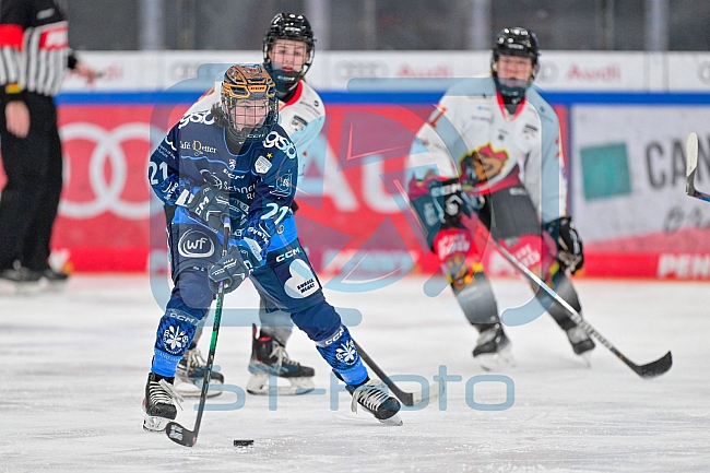 Eishockey, Frauen, DFEL, Saison 2024-2025, ERC Ingolstadt - EC Bergkamener Bären, 05.01.2025