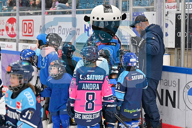 Eishockey, Herren, DEL, Saison 2023-2024, ERC Ingolstadt - Kids on Ice Day, 30.09.2023