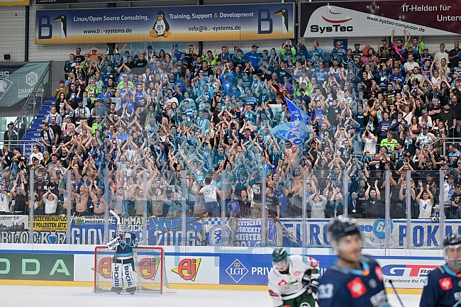 Eishockey, Mens, CHL, Season 2023-2024, ERC Ingolstadt - Färjestad Karlstad, 02.09.2023