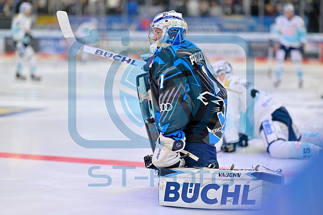 Eishockey, Herren, DEL, Saison 2025-2026, Spiel 23, ERC Ingolstadt - Dresdner Eislöwen, 28.11.2025