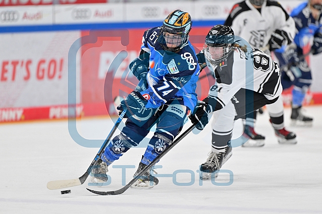 Eishockey, Frauen, DFEL, Saison 2023-2024, ERC Ingolstadt - Amsterdam Tigers, 06.01.2024