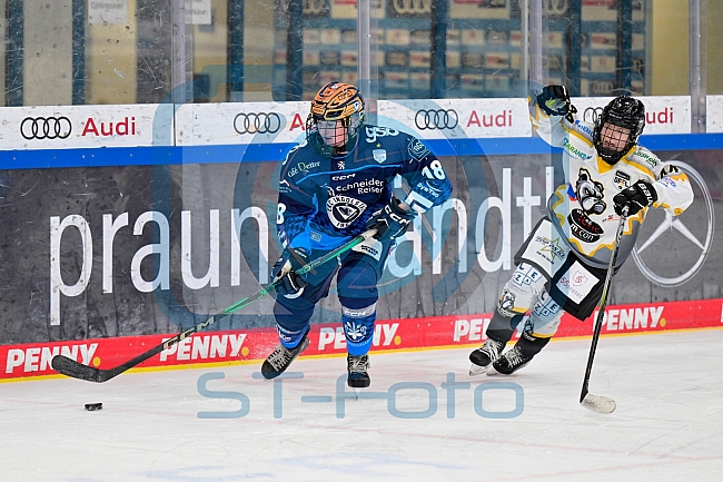Eishockey, Frauen, DFEL, Saison 2024-2025, ERC Ingolstadt - Mad Dogs Mannheim, 23.11.2024