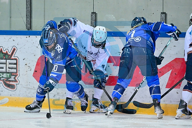 Eishockey, Frauen, DFEL, Saison 2026-2027, ERC Ingolstadt - Eisbären Juniors Berlin, 20.09.2026