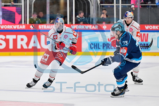 Hockey, Mens, CHL, Season 2025-2026, Regular Season, Round of 16, ERC Ingolstadt - EC Red Bull Salzburg, 12.11.2025