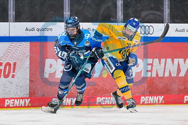 Eishockey, Frauen, DFEL, Saison 2025-2026, Testspiel, ERC Ingolstadt - HC Davos, 14.02.2026