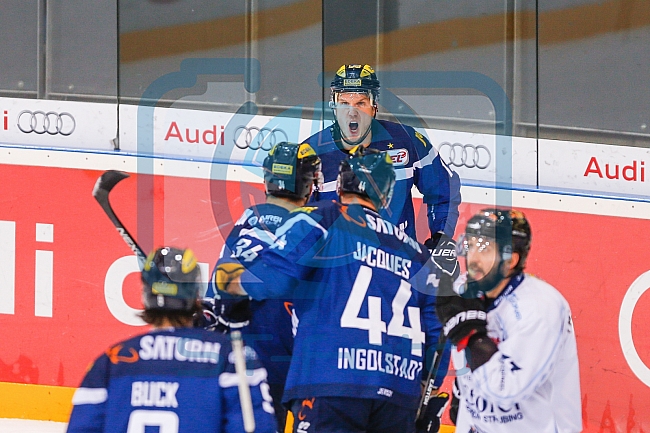 ERC Ingolstadt - Straubing Tigers, Eishockey, DEL, Deutsche Eishockey Liga, Spieltag 16, 24.01.2017