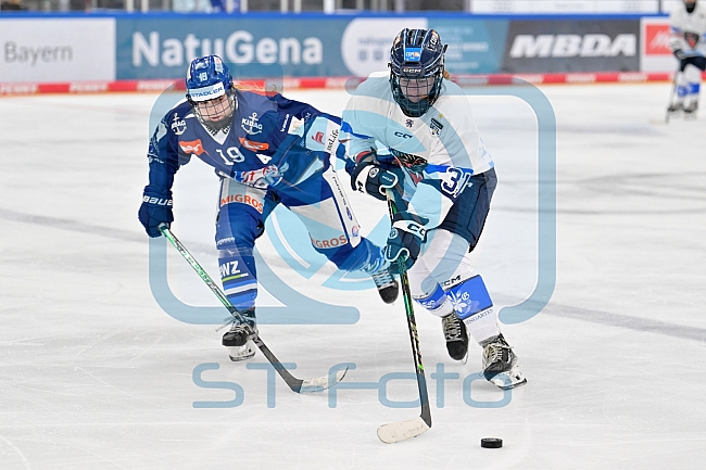 Eishockey, Frauen, DFEL, Saison 2026-2027, Testspiel, ERC Ingolstadt - ZSC Lions Zürich, 05.09.2026