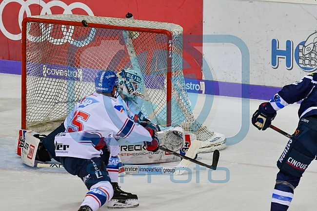 ERC Ingolstadt vs Alder Mannheim am 15.02.2019, Spieltag 32