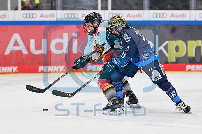 Eishockey, Frauen, DFEL, Saison 2024-2025, ERC Ingolstadt - EC Bergkamener Bären, 12.10.2024