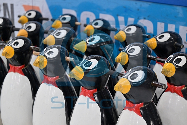 Eishockey, Herren, DEL, Saison 2022-2023, ERC Ingolstadt - Kids On Ice Day, 14.01.2023