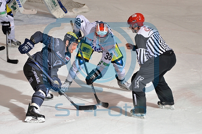 ERC Ingolstadt vs Schwenninger Wild Wings, Eishockey, DEL, Deutsche Eishockey Liga, 22.01.2016