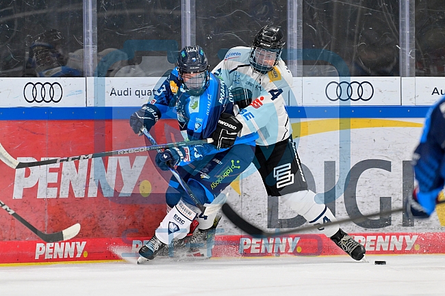 Eishockey, Herren, U20 DNL, Saison 2025-2026, ERC Ingolstadt - ESC Dresden, 14.02.2026