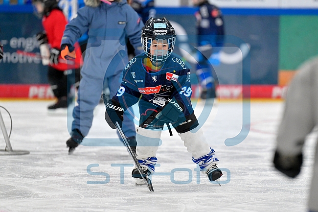 Eishockey, Saison 2025-2026, ERC Ingolstadt - Kids On Ice Day, 10.01.2026