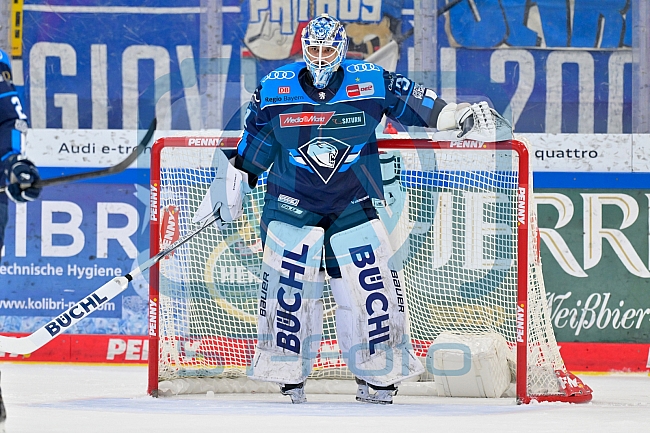 Eishockey, Herren, DEL, Saison 2025-2026, Spiel 43, ERC Ingolstadt - Schwenninger Wild Wings, 25.01.2026