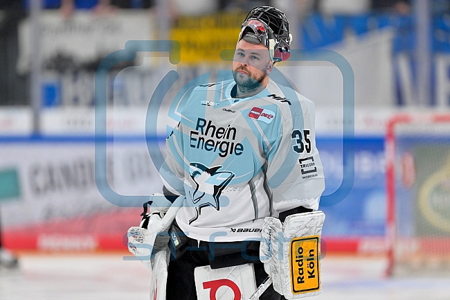 Eishockey, Herren, DEL, Saison 2024-2025, Playoffs Halbfinale, Spiel 5, ERC Ingolstadt - Kölner Haie, 11.04.2025