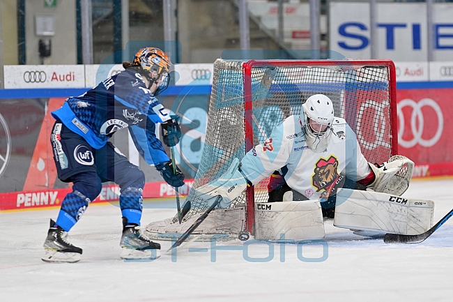 Eishockey, Frauen, DFEL, Saison 2024-2025, ERC Ingolstadt - EC Bergkamener Bären, 04.01.2025