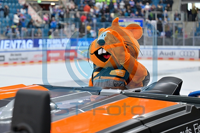 Eishockey, Herren, DEL, Saison 2025-2026, Spiel 21, ERC Ingolstadt - Pinguins Bremerhaven, 23.11.2025