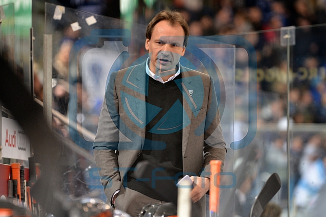 ERC Ingolstadt vs Grizzlys Wolfsburg, Eishockey, DEL, Deutsche Eishockey Liga, Spieltag 37, 13.01.2017