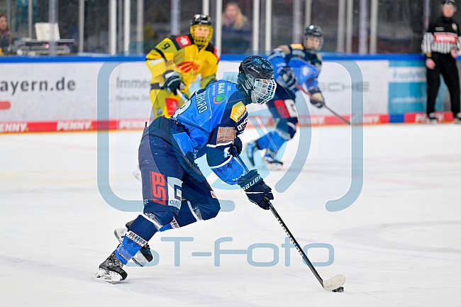 Eishockey, U20, DNL, Saison 2024-2025, ERC Ingolstadt - Krefelder EV 81, 01.03.2025