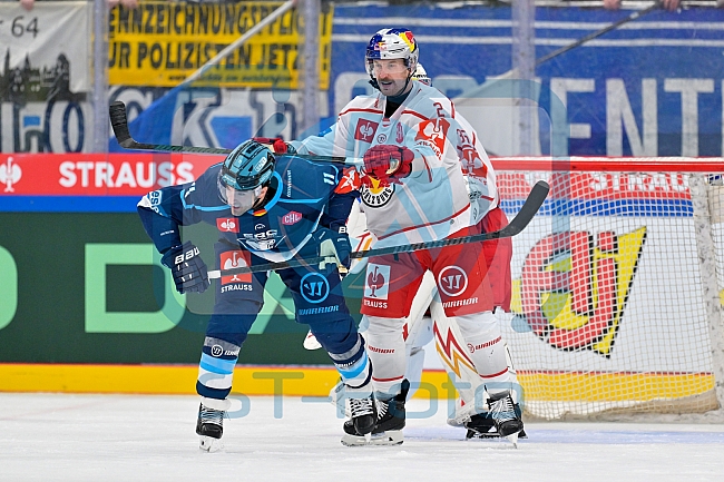 Hockey, Mens, CHL, Season 2025-2026, Regular Season, Round of 16, ERC Ingolstadt - EC Red Bull Salzburg, 12.11.2025