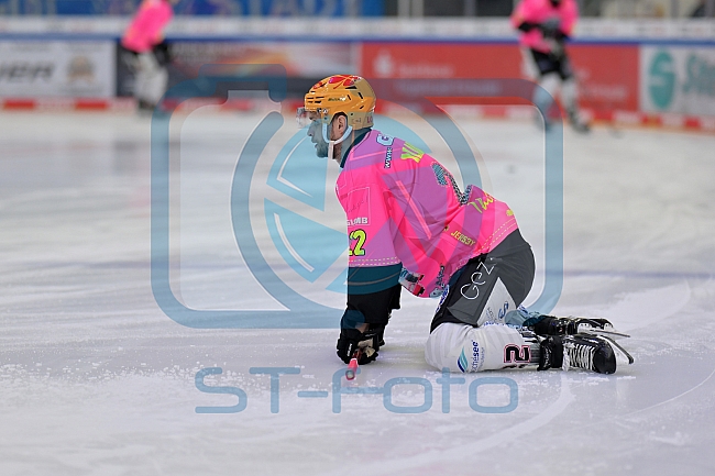 Eishockey, Herren, DEL, Saison 2023-2024, Playoffs Viertelfinale - Spiel 2, ERC Ingolstadt - Fischtown Pinguins , 20.03.2024