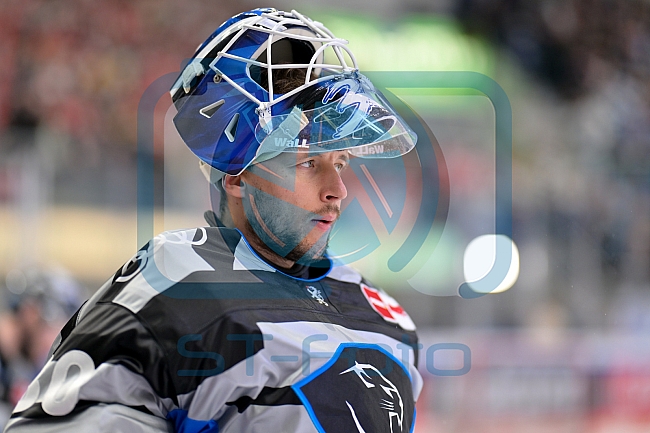 Eishockey, Herren, DEL, Saison 2024-2025, Playoffs Halbfinale, Spiel 3, ERC Ingolstadt - Kölner Haie, 06.04.2025
