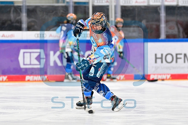 Eishockey, Frauen, DFEL, Saison 2024-2025, ERC Ingolstadt - ECDC Memmingen Indians, 16.11.2024