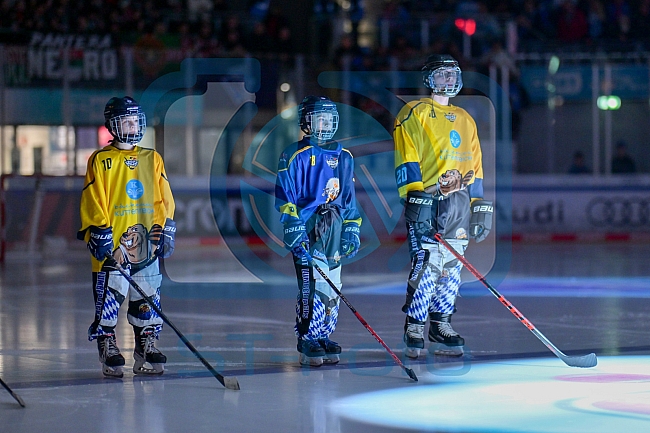 Eishockey, Herren, DEL, Saison 2025-2026, Spiel 51, ERC Ingolstadt - Augsburger Panther, 13.03.2026