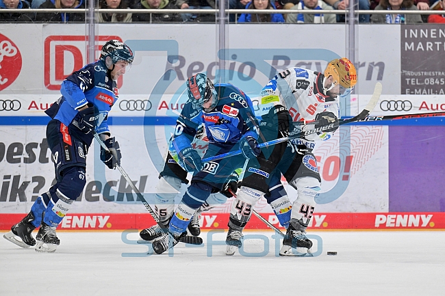 Eishockey, Herren, DEL, Saison 2023-2024, Playoffs Viertelfinale - Spiel 4, ERC Ingolstadt - Fischtown Pinguins , 24.03.2024