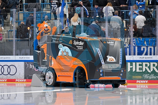 Eishockey, Herren, DEL, Saison 2025-2026, Spiel 21, ERC Ingolstadt - Pinguins Bremerhaven, 23.11.2025