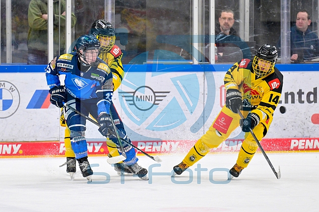 Eishockey, U20, DNL, Saison 2024-2025, ERC Ingolstadt - Krefelder EV 81, 01.03.2025