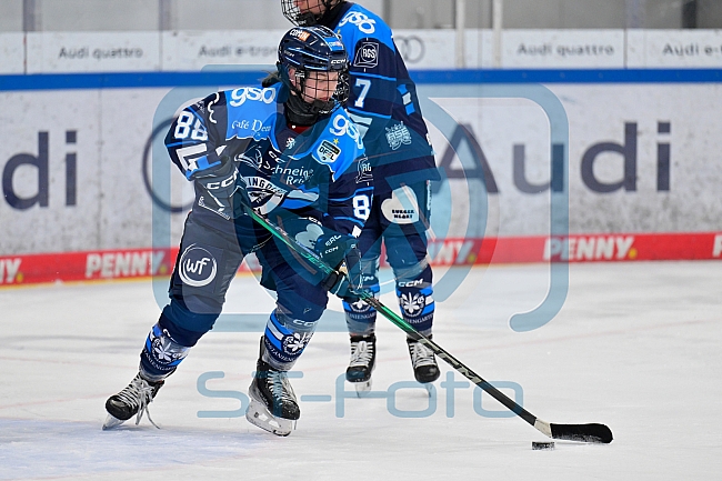 Eishockey, Frauen, DFEL, Saison 2025-2026, Testspiel, ERC Ingolstadt - HC Davos, 14.02.2026
