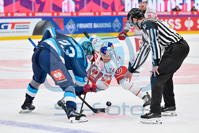 Hockey, Mens, CHL, Season 2025-2026, Regular Season, Round of 16, ERC Ingolstadt - EC Red Bull Salzburg, 12.11.2025