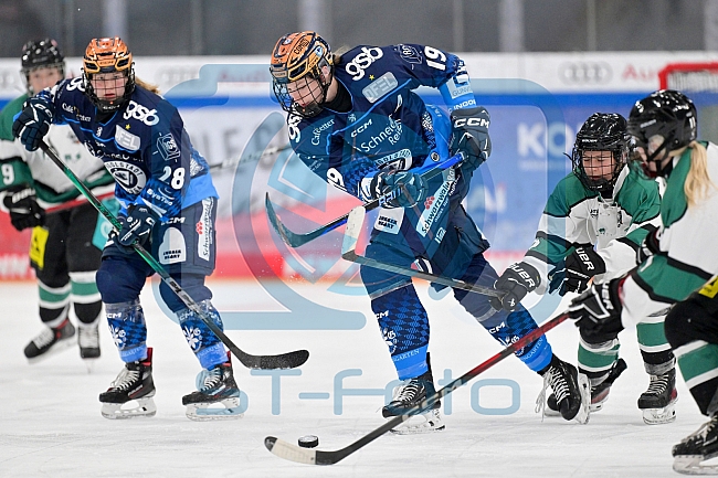 Eishockey, Frauen, European Womens Hockey League, Saison 2024-2025, ERC Ingolstadt - Lakers Kärnten, 13.09.2024