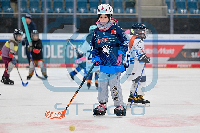 Eishockey, Saison 2025-2026, ERC Ingolstadt - Kids On Ice Day, 10.01.2026