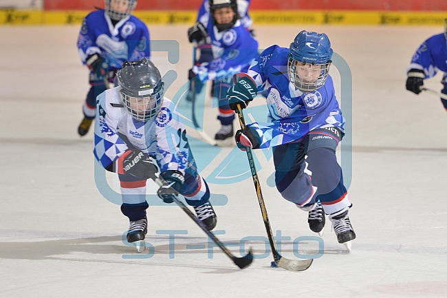 ERC Ingolstadt vs Straubing Tigers, Eishockey, DEL, Deutsche Eishockey Liga, 22.12.2015