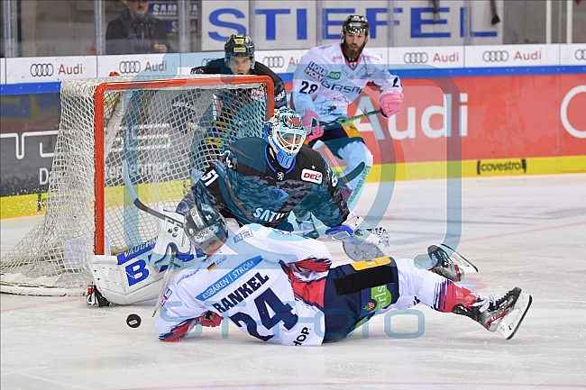 ERC Ingolstadt vs Eisbären Berlin, DEL, Deutsche Eishockey Liga, Spieltag 14, 25.10.2019