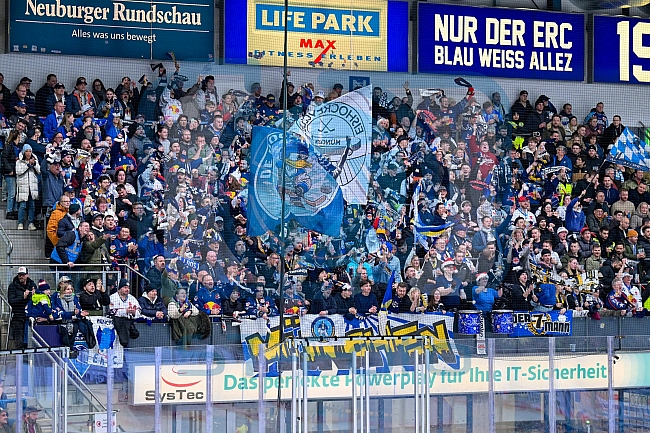 Eishockey, Herren, DEL, Saison 2025-2026, Spiel 31, ERC Ingolstadt - EHC Red Bull München, 23.12.2025