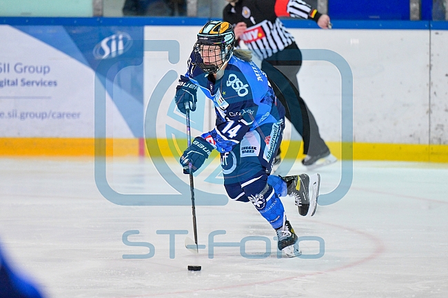 Eishockey, Frauen, DFEL, Saison 2023-2024, ERC Ingolstadt - ECDC Memmingen Indians, 21.01.2024