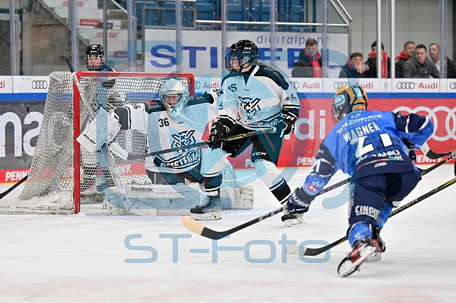 Eishockey, Frauen, DFEL, Saison 2023-2024, ERC Ingolstadt - Amsterdam Tigers, 06.01.2024