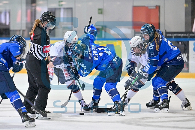 Eishockey, Frauen, DFEL, Saison 2026-2027, ERC Ingolstadt - Eisbären Juniors Berlin, 20.09.2026
