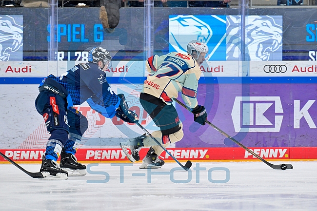 Eishockey, Herren, DEL, Saison 2024-2025, Playoffs Viertelfinale, Spiel 1, ERC Ingolstadt - Nürnberg Ice Tigers, 16.03.2025
