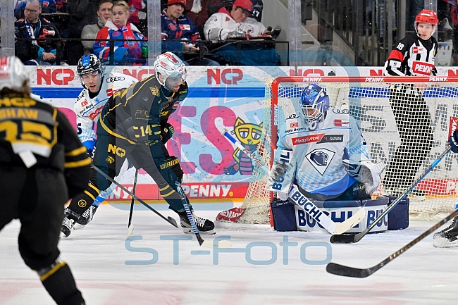 Eishockey, Herren, DEL, Saison 2024-2025, Playoffs Viertelfinale, Spiel 1, Nürnberg Ice Tigers - ERC Ingolstadt, 18.03.2025